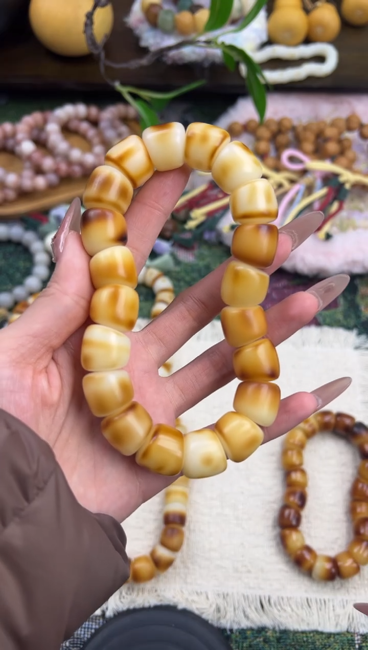 吊坠菩提根/象牙果卡16菩提大肠