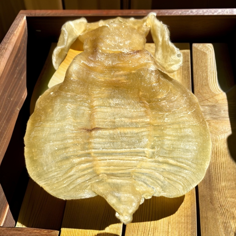 零到壹优品花胶鱼胶 金兰赤嘴鱼胶