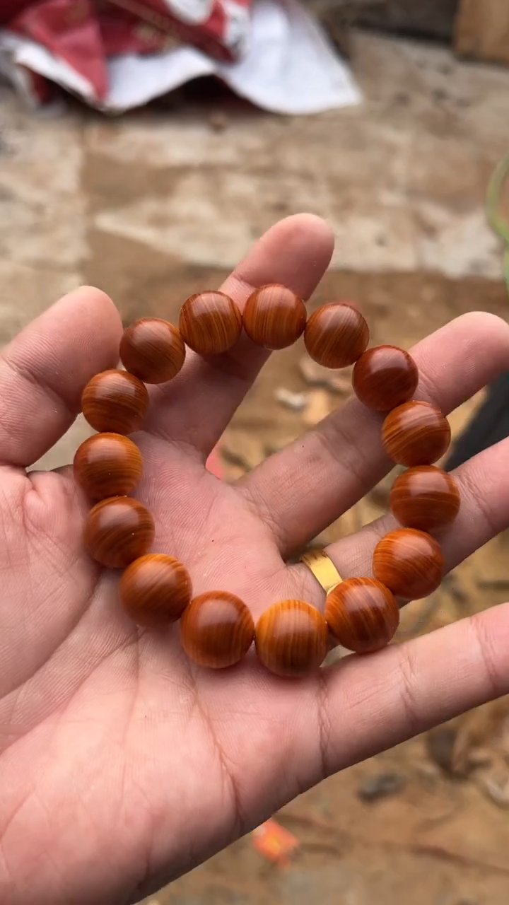 柏木（崖柏）南太行1.5单圈