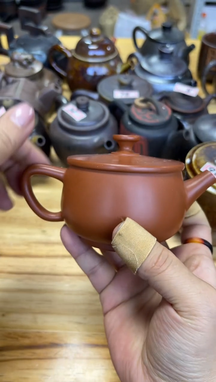 【闪购商品】壶159 号【白云推荐】