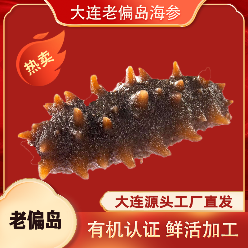 老偏岛新人福利即食海参大连辽刺参Q弹爽滑产地直发鲜食海参
