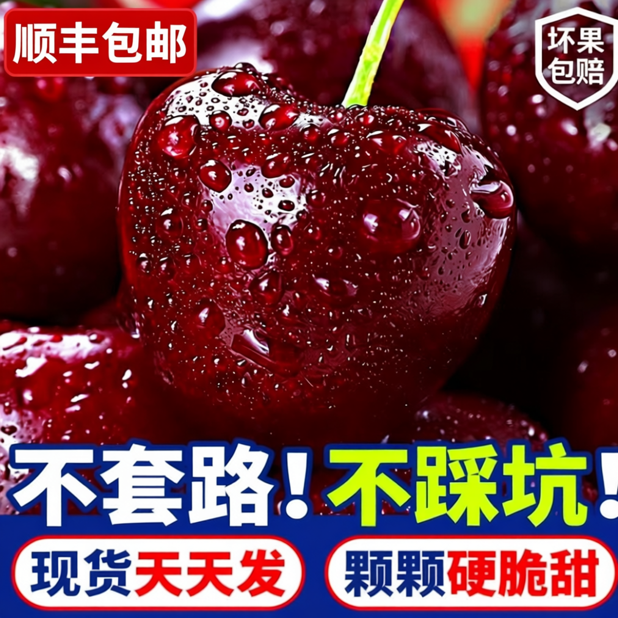 【顺丰包邮】2JDD 桑提娜车厘子  5斤装 海运新货 新鲜硬 甜度高桑提娜智利