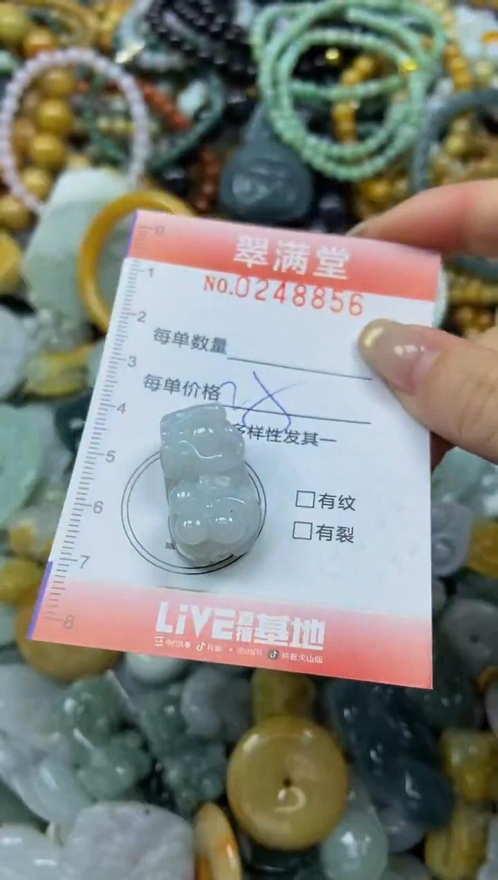 未镶嵌挂件翡翠闪购0248856