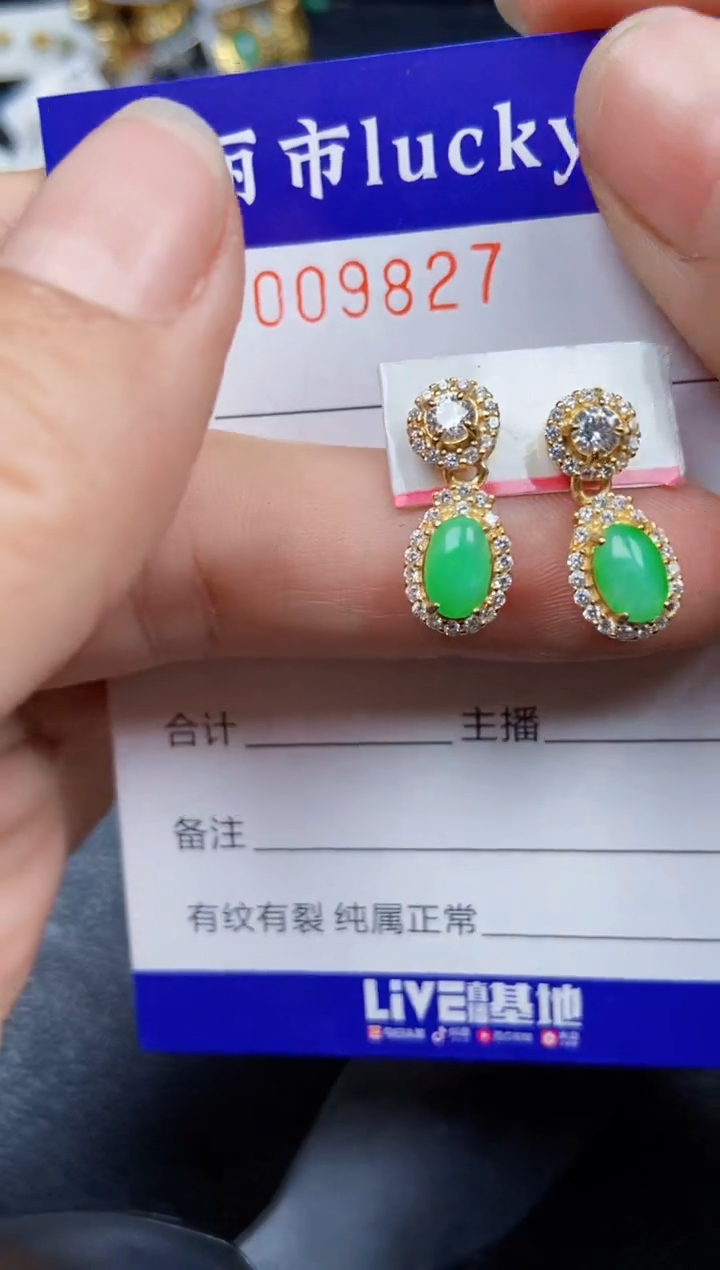 【闪购商品】翡翠颈饰银S925镶嵌9827