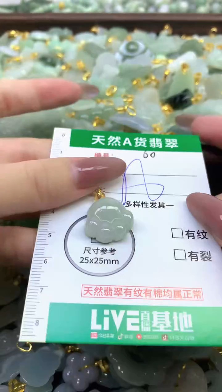 颈饰未镶嵌翡翠天然缅甸A货翡翠