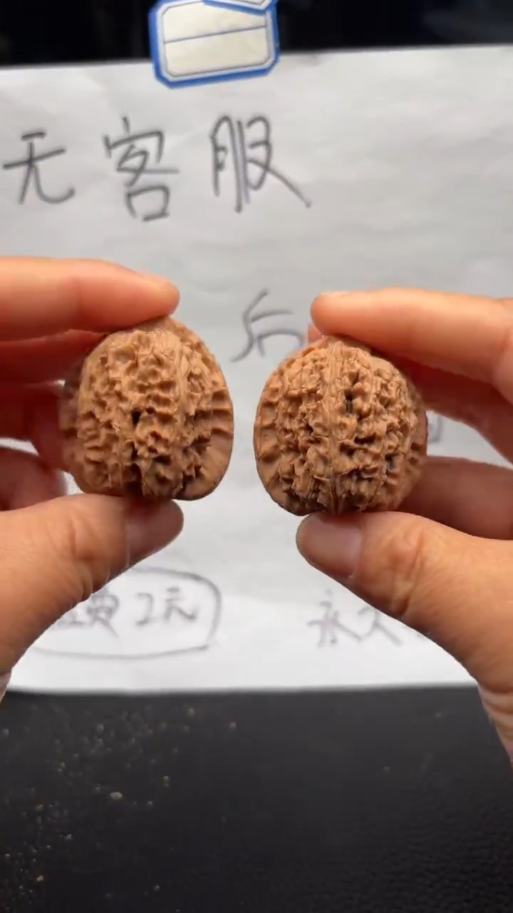 把件文玩核桃681白狮子