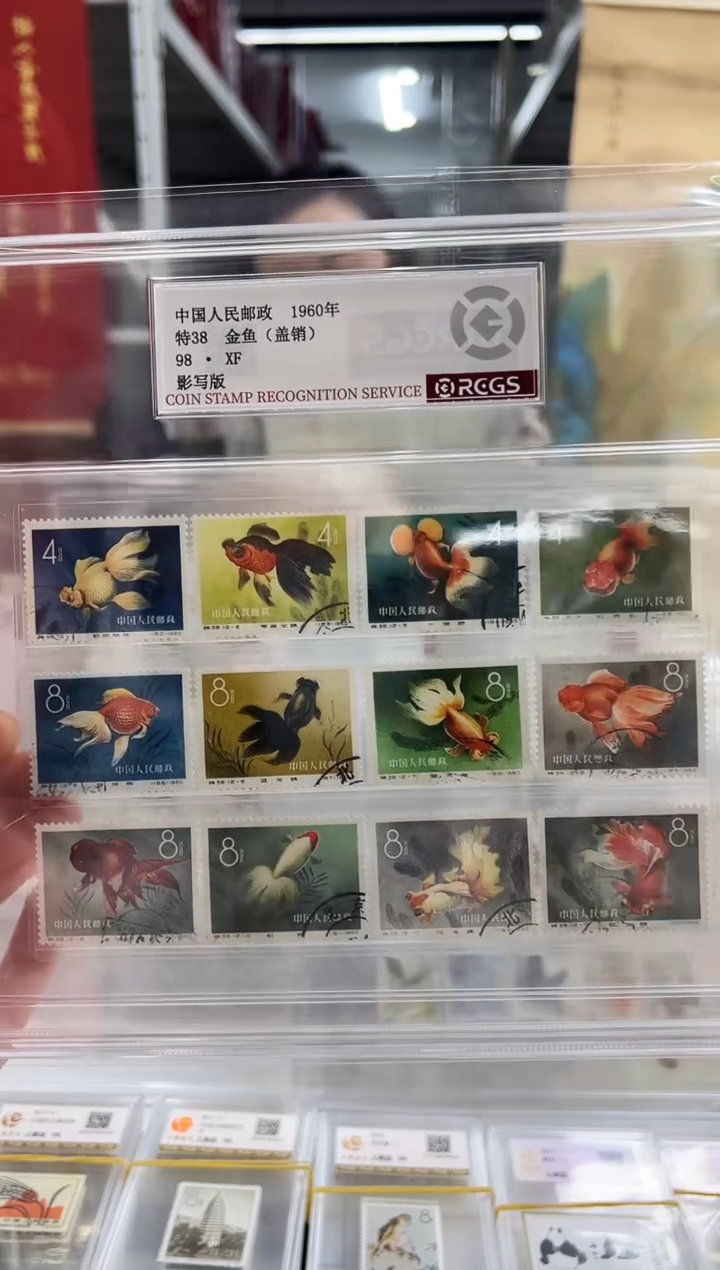 特38 金鱼盖销闪购福利