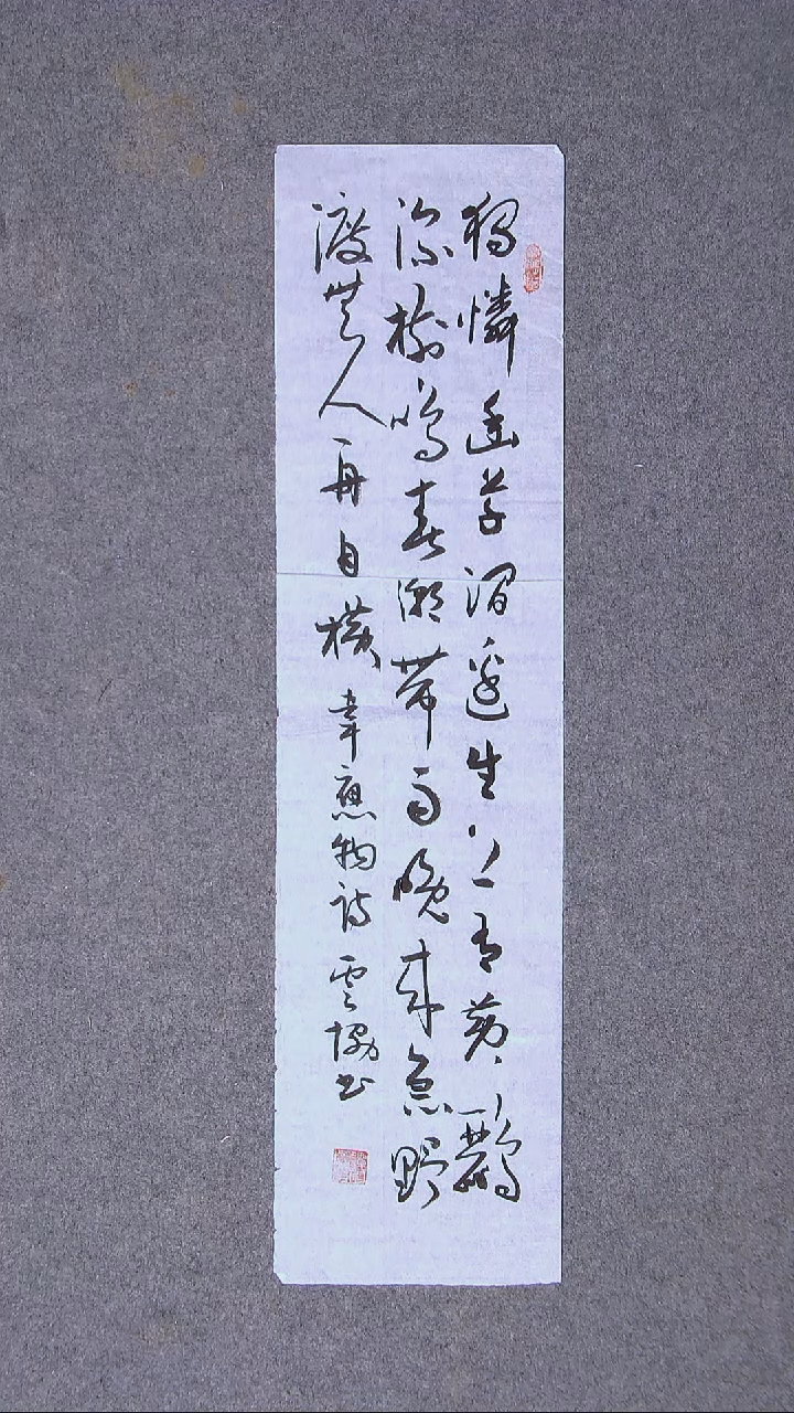 书法谭云协   宁夏 副主69*17尺寸