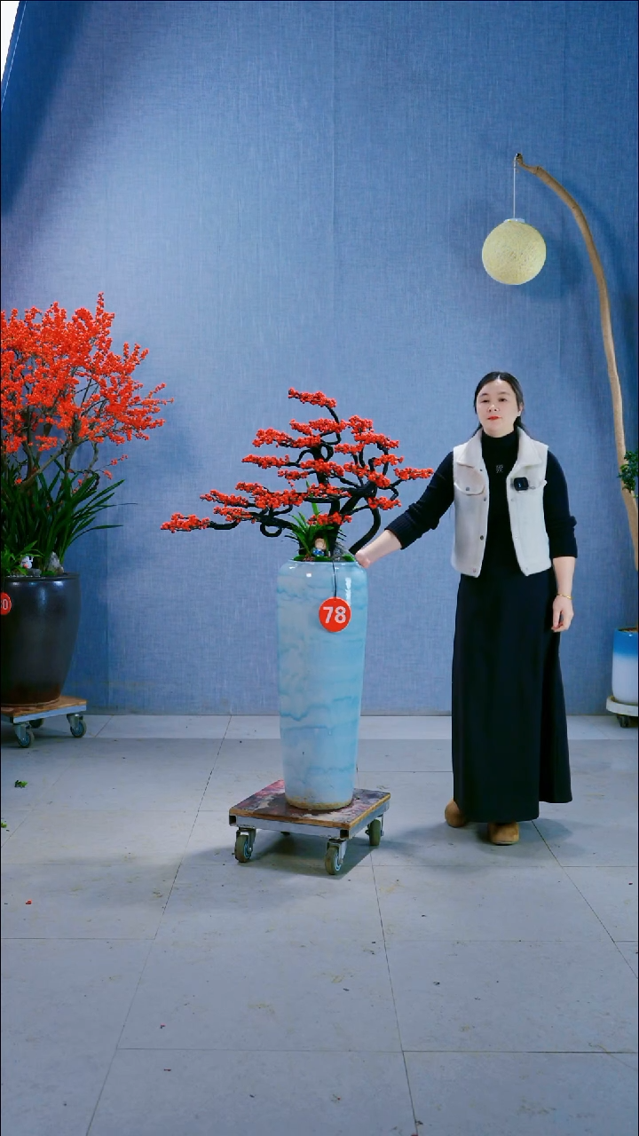 无花朵78号盆链接