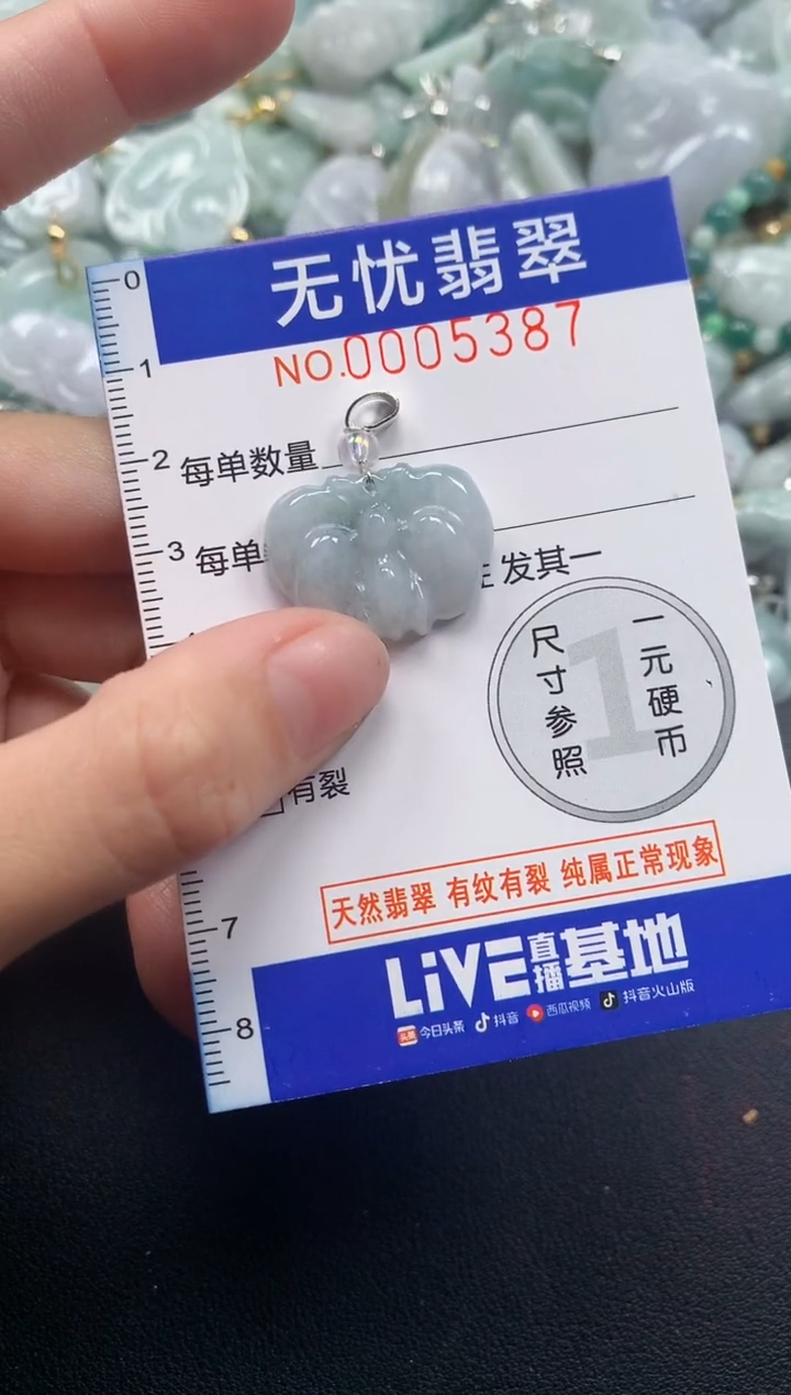 颈饰未镶嵌翡翠5387