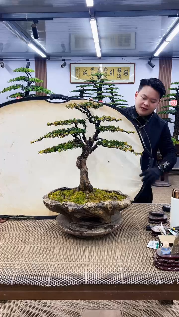 【闪购商品】0000000