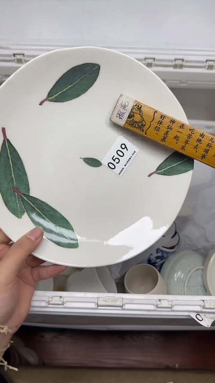【闪购商品】509回流瓷器默认微瑕，18.8包邮