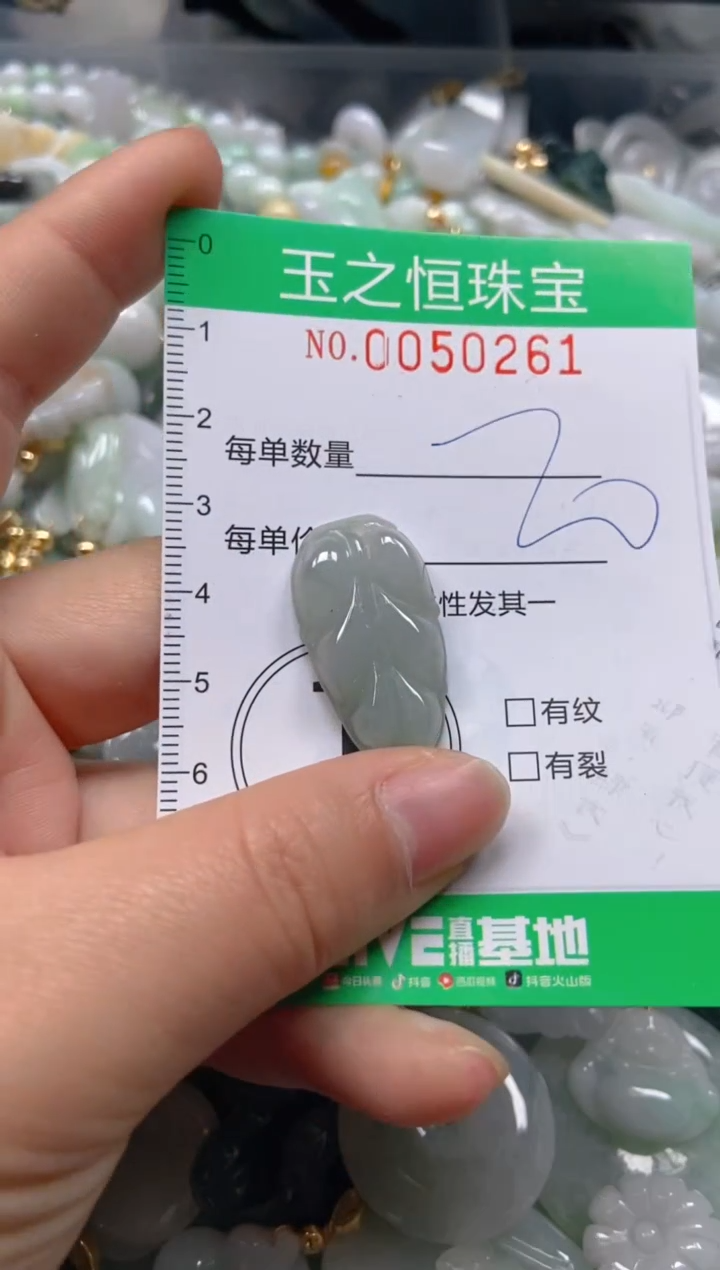 【闪购商品】翡翠颈饰未镶嵌闪购0050261