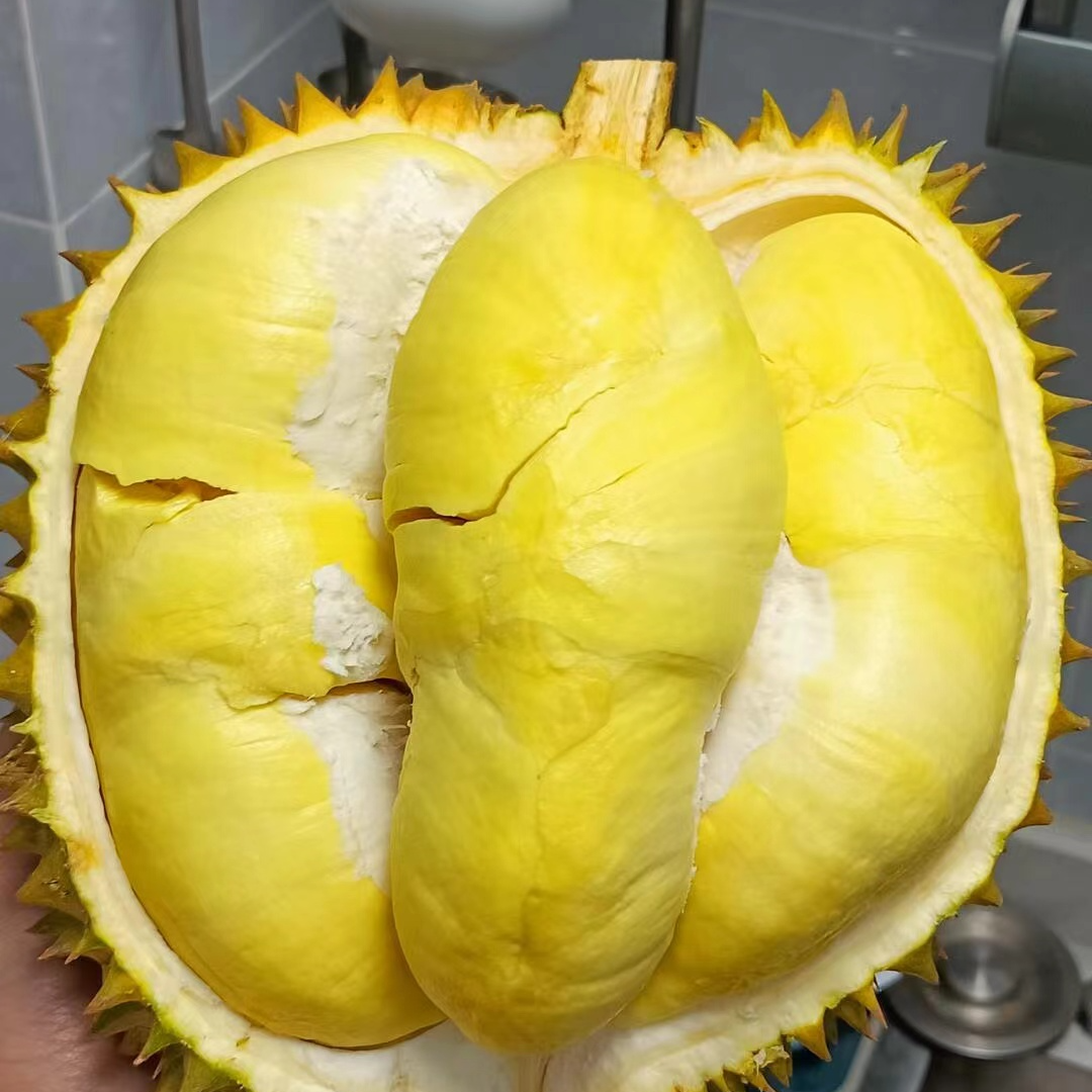 【一果一拍】金枕头带壳榴莲软糯香甜现开榴莲北京1-2小时送达默认开果，整果请备注