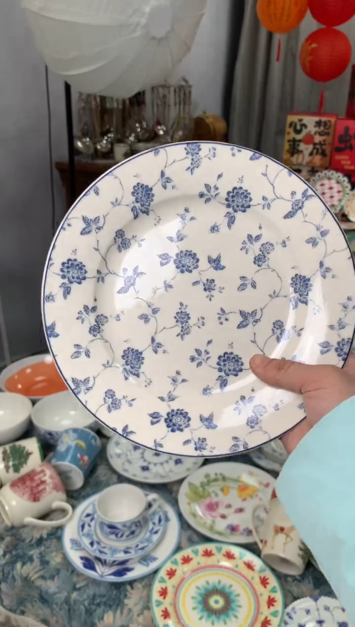 【闪购商品】瓷片陶瓷原单CC168餐具1个8寸