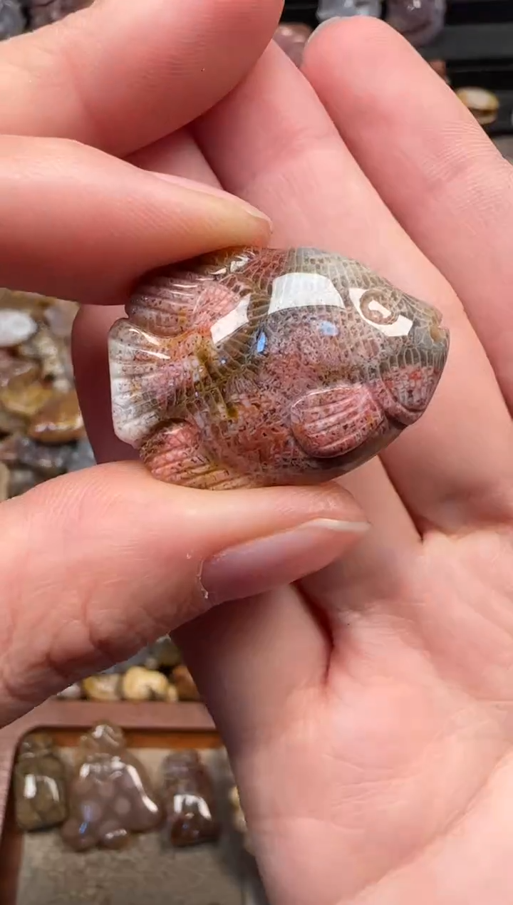 颈饰未镶嵌硅化珊瑚（珊瑚玉）113