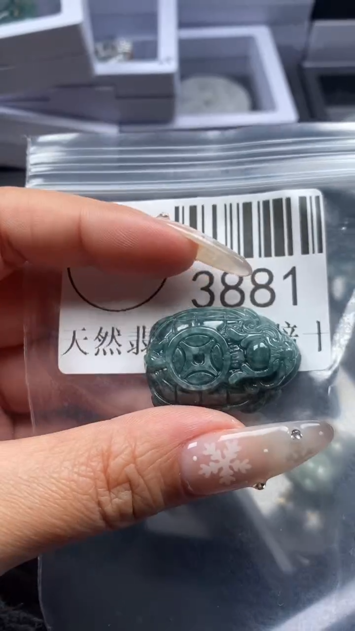 颈饰未镶嵌翡翠3881