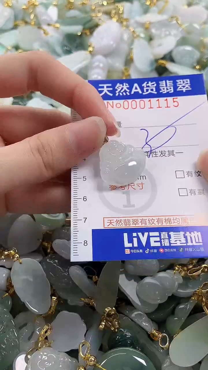 颈饰未镶嵌翡翠纯天然a货翡翠