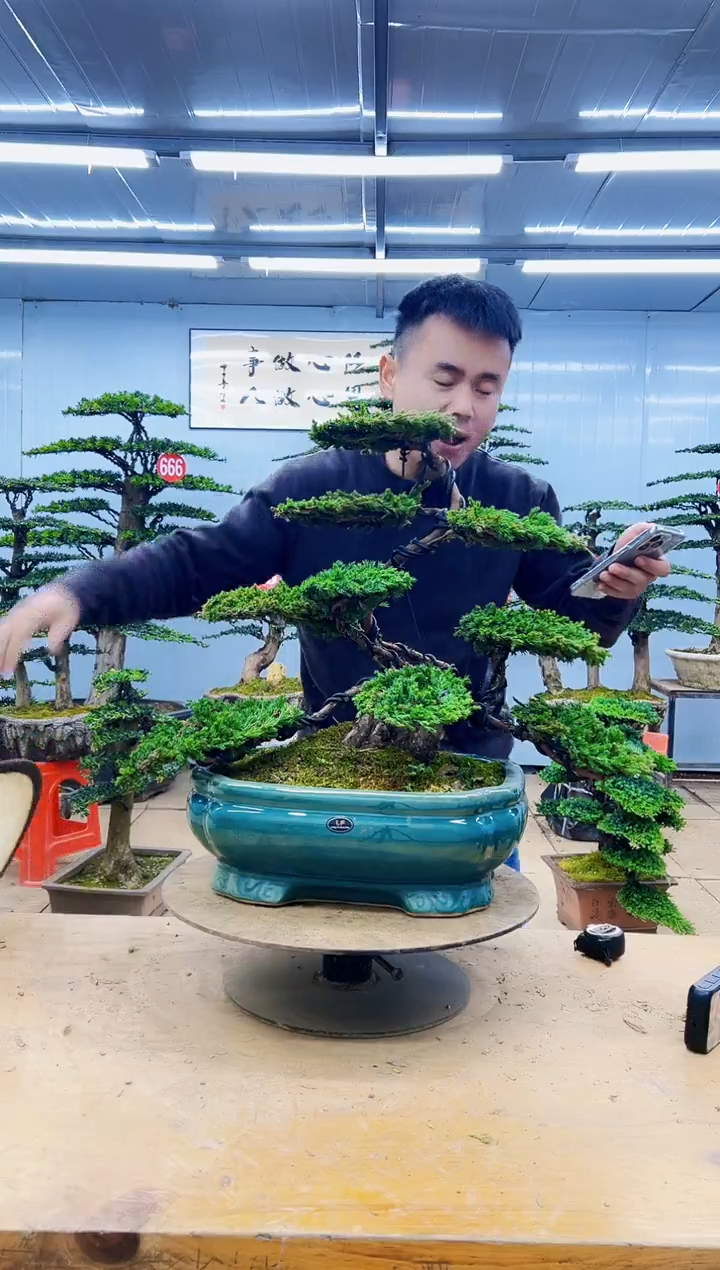 无花朵000000000000000000000000000