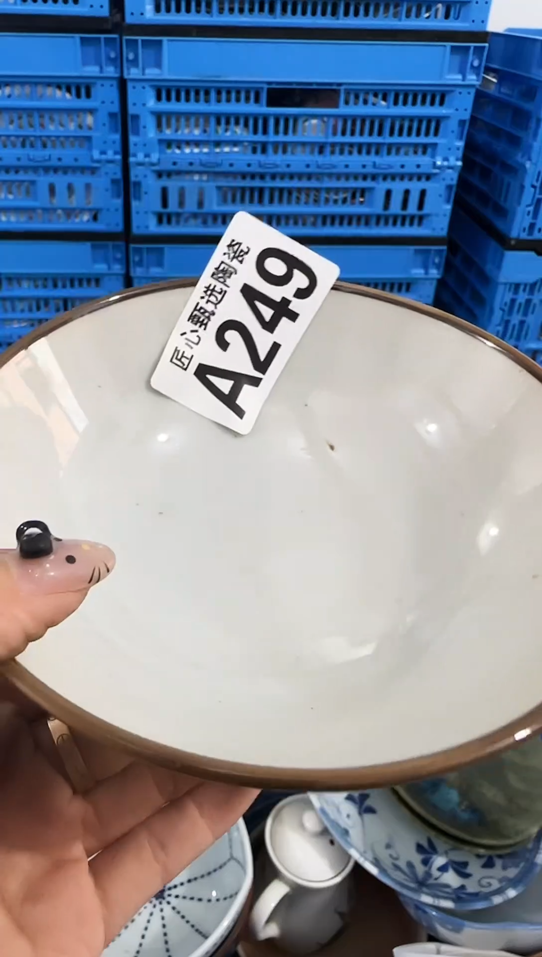 瓷片凝*冰         A249