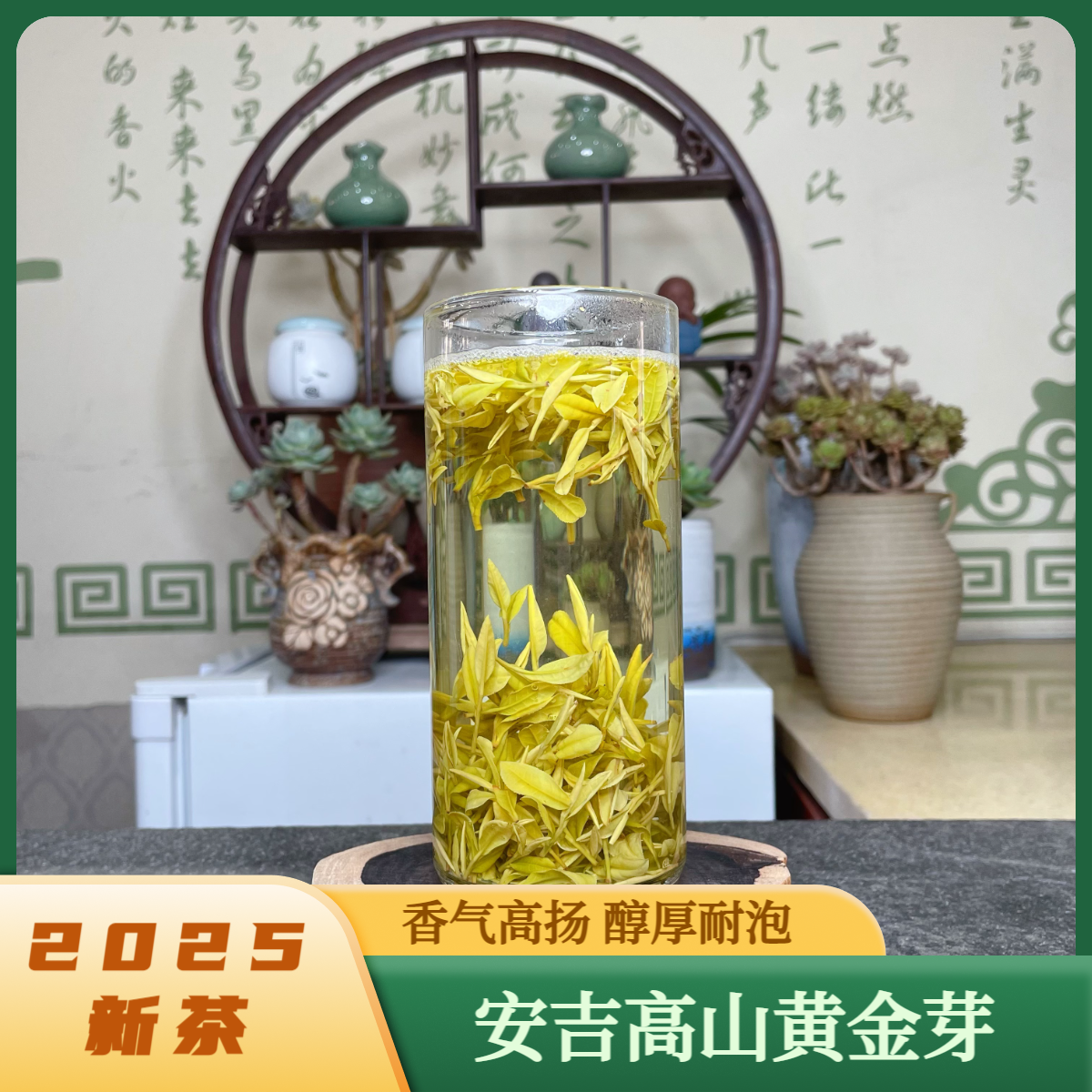 【高山黄金芽】25年安吉高山黄金芽（精品款H3）