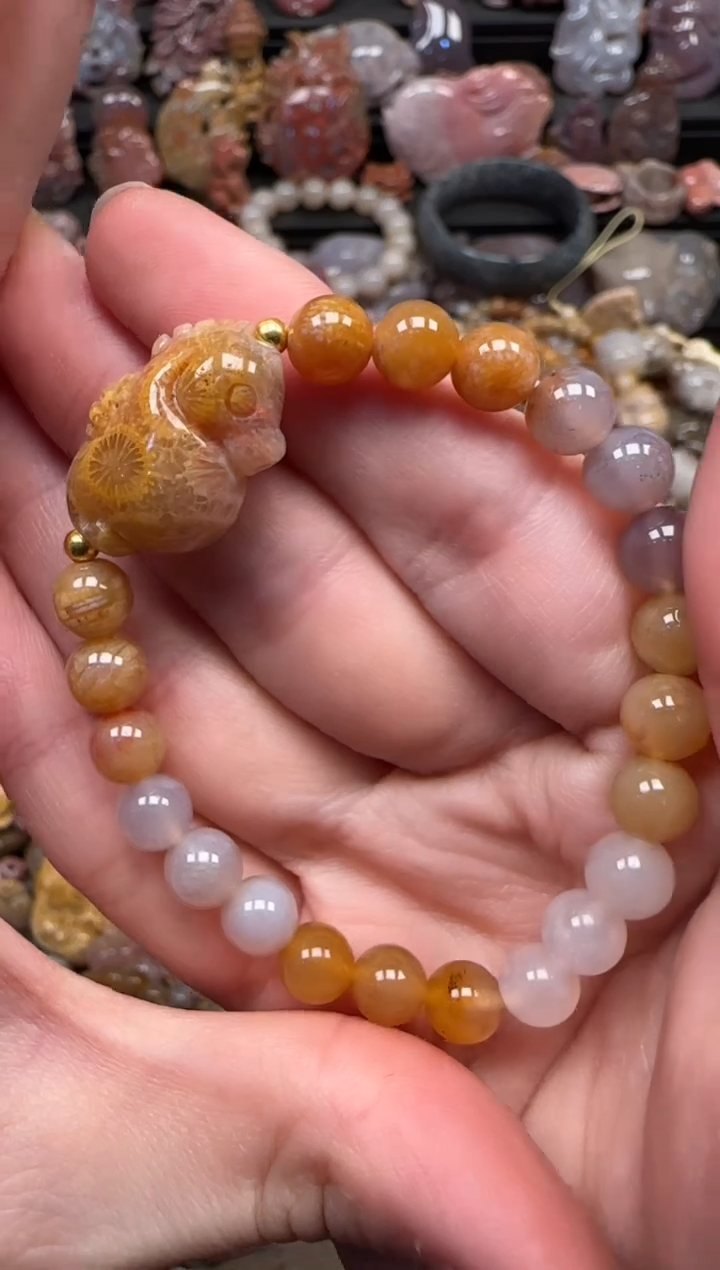 颈饰未镶嵌硅化珊瑚（珊瑚玉）627