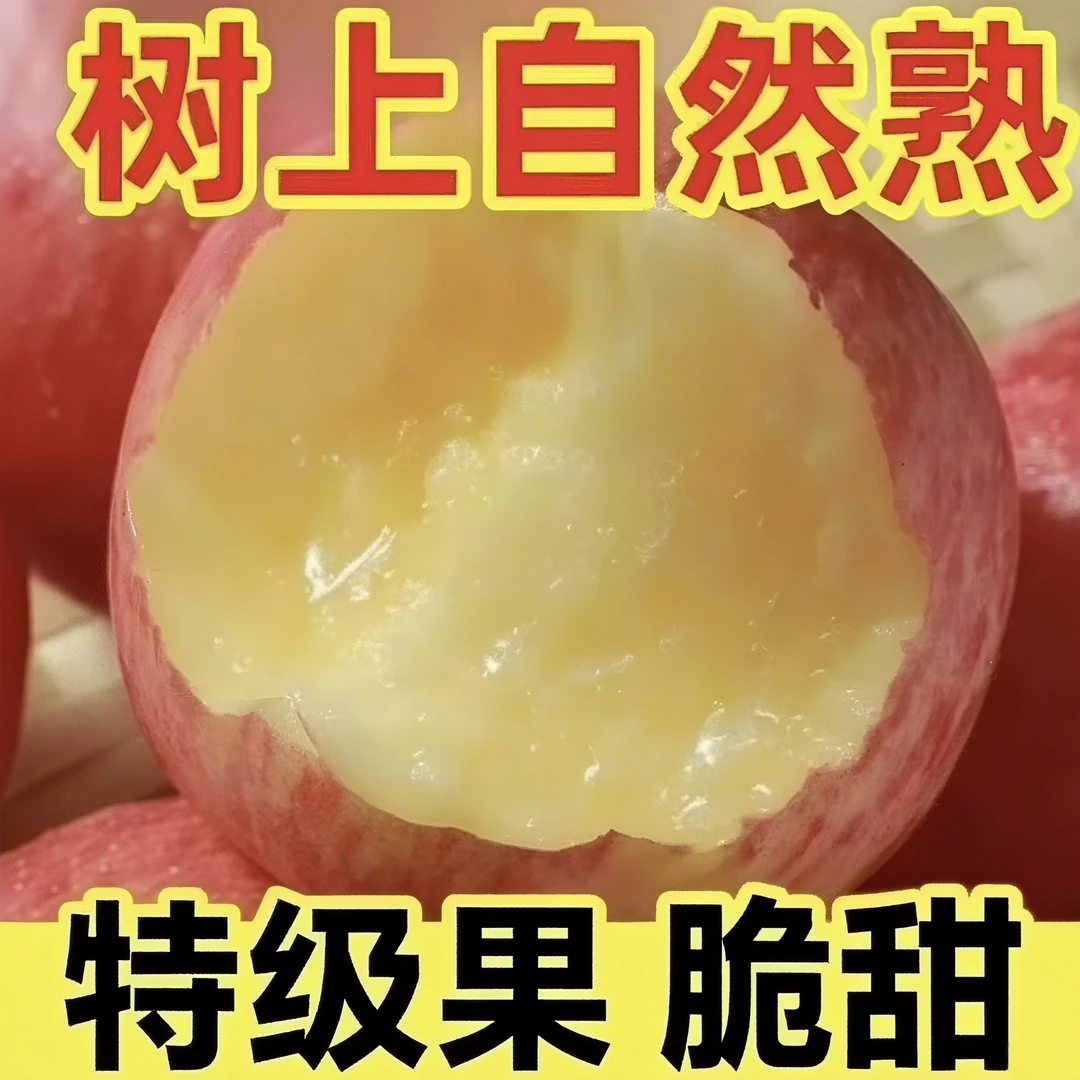 红富士苹果新鲜现摘当季应季脆甜多汁冰糖心水果