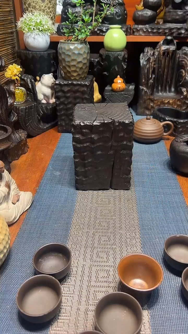 香樟木香樟木一物一拍