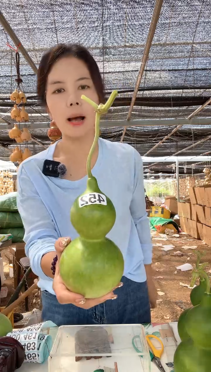 452天然葫芦摆件 一物一拍龙头不保售后