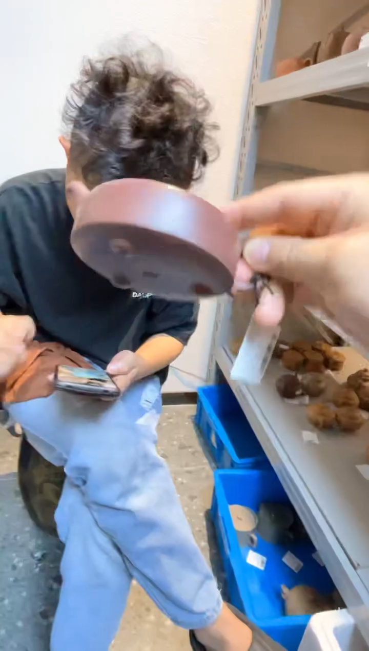 紫砂其他@@宜兴紫砂壶178