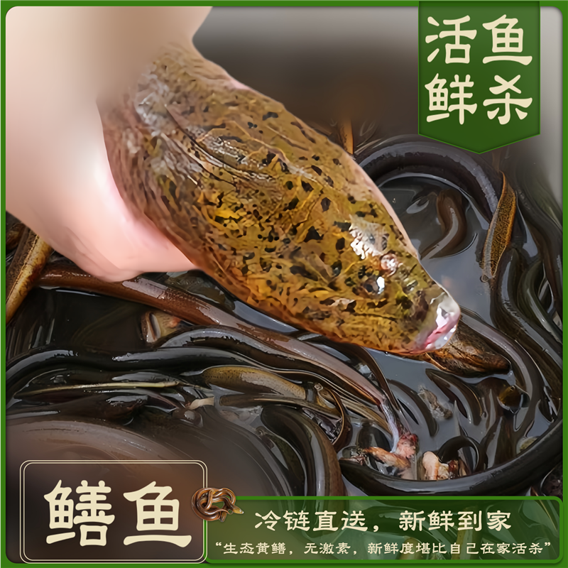 [膳食夫]鲜鳝筒450g*2顺丰冷链