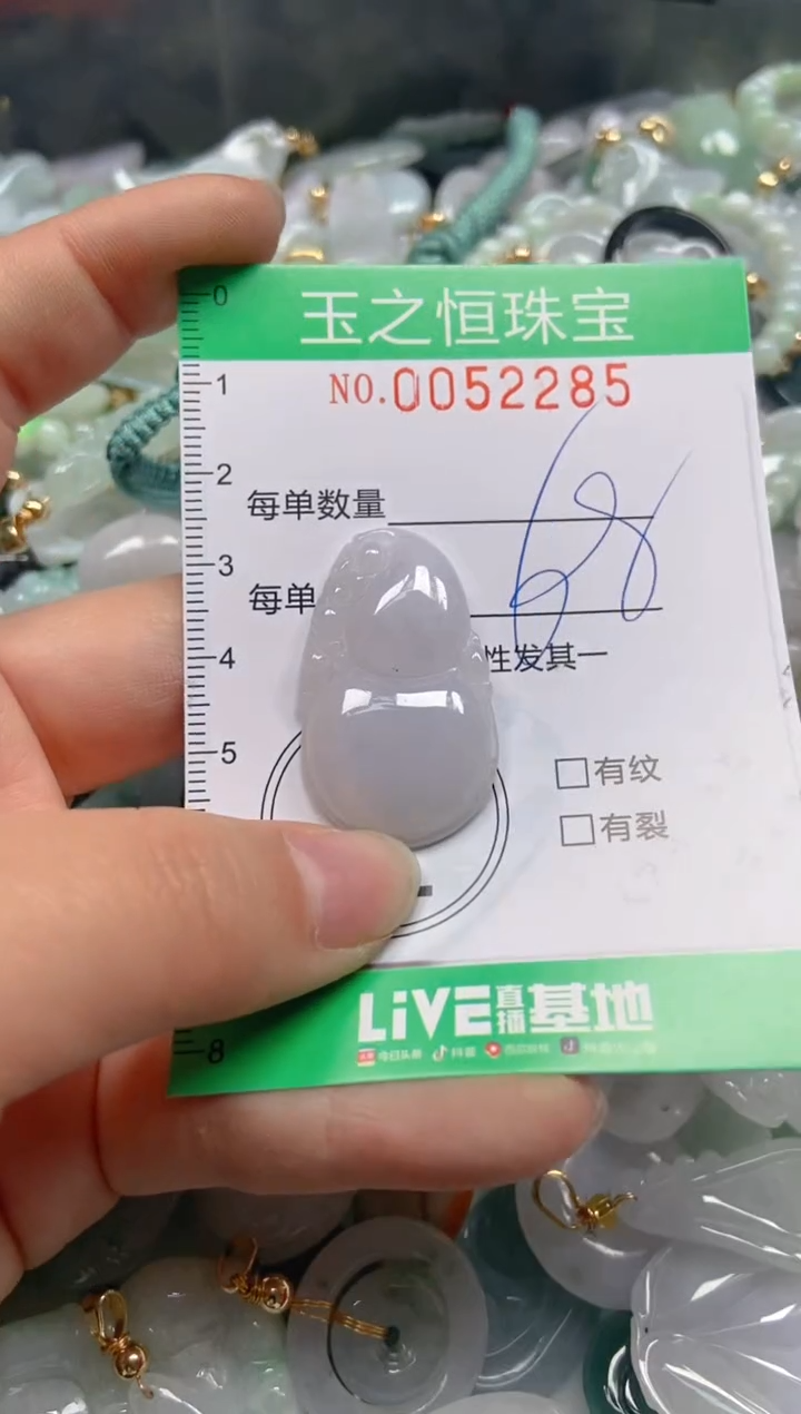 【闪购商品】翡翠颈饰未镶嵌闪购0052285