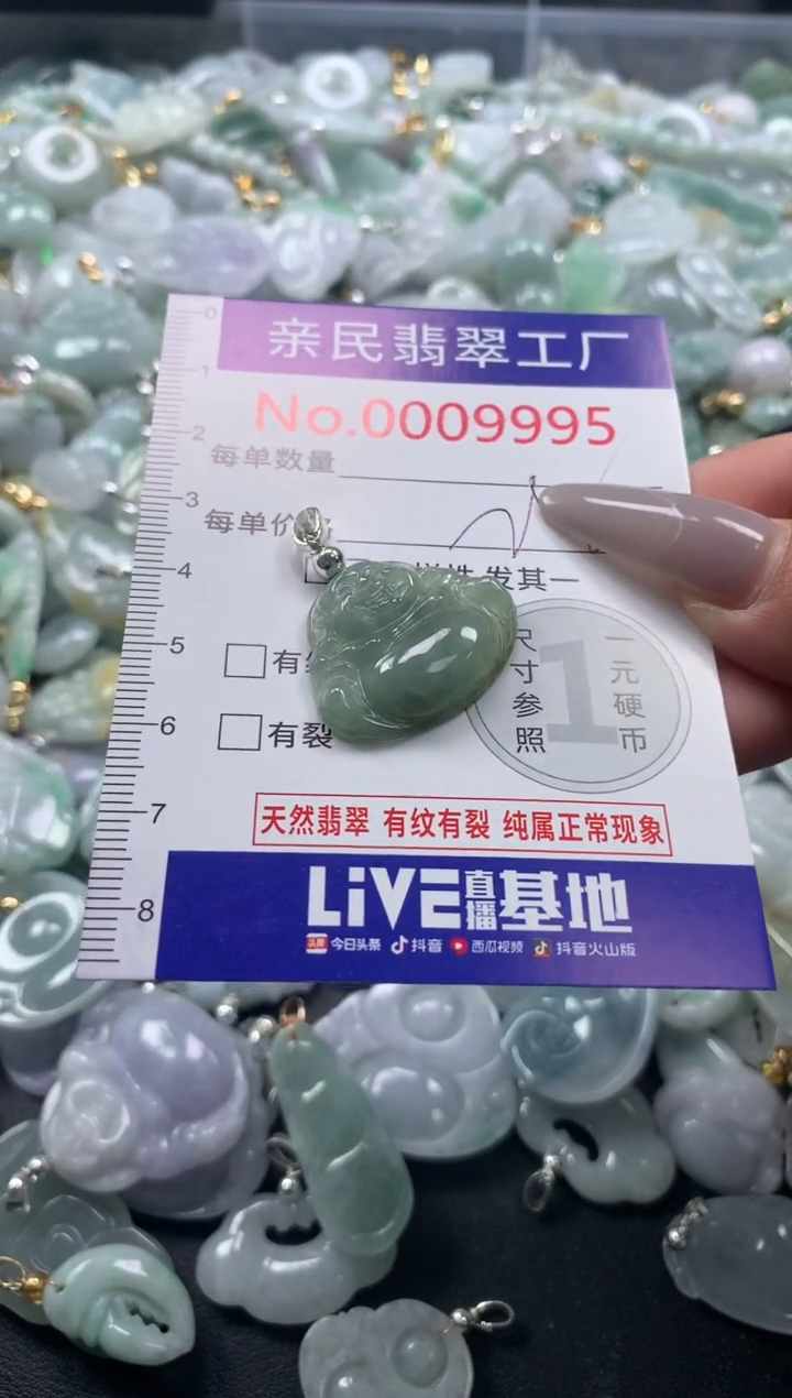 颈饰未镶嵌翡翠9995