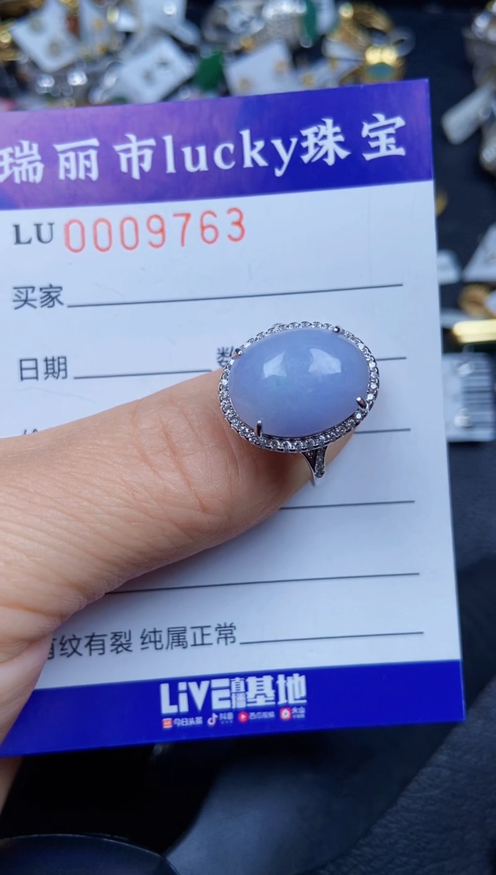 【闪购商品】翡翠颈饰银S925镶嵌9763