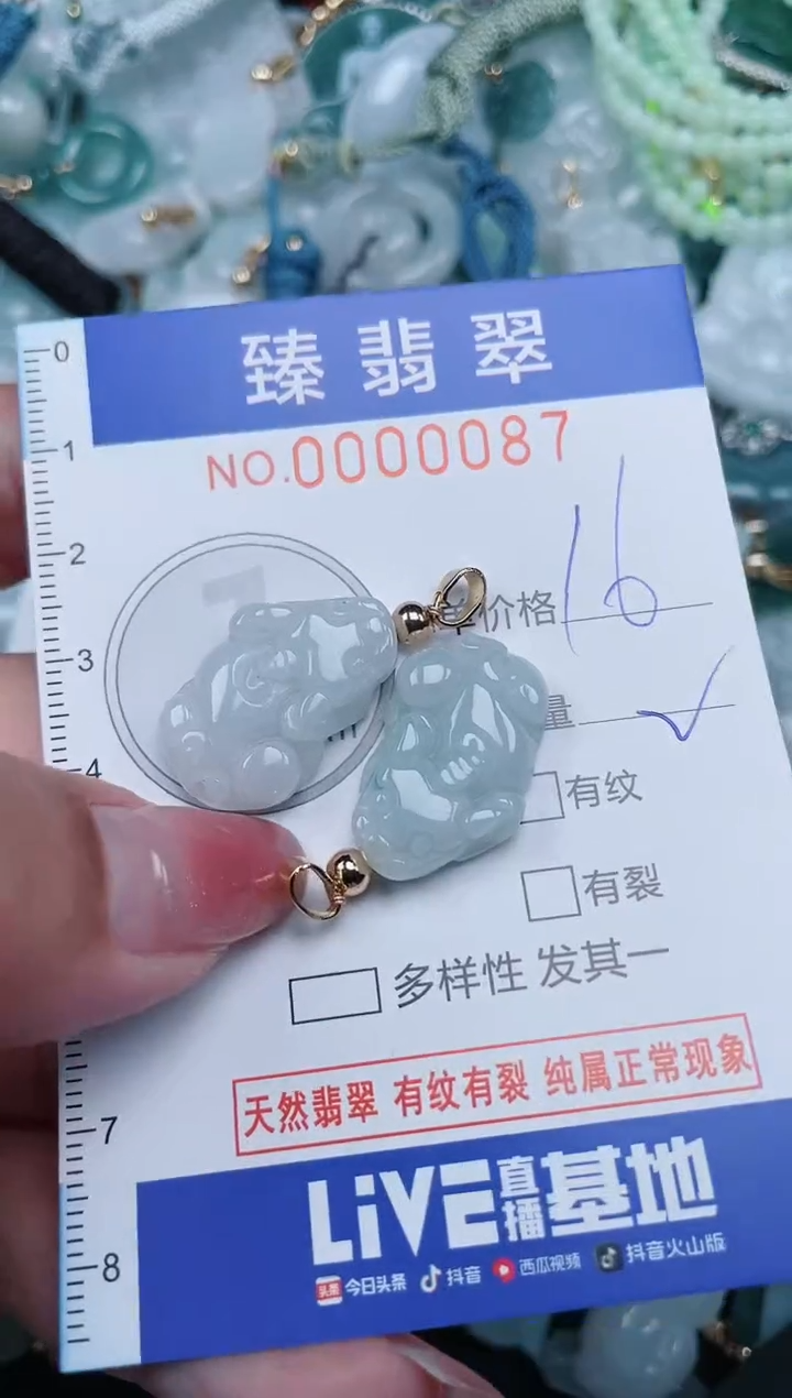 【闪购商品】翡翠颈饰未镶嵌.0000087