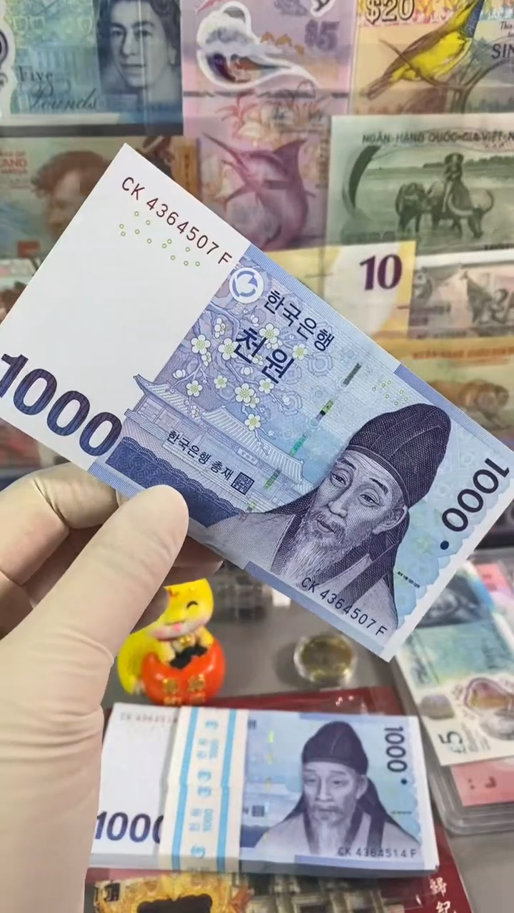 纸币韩国1000 2007年版纸币