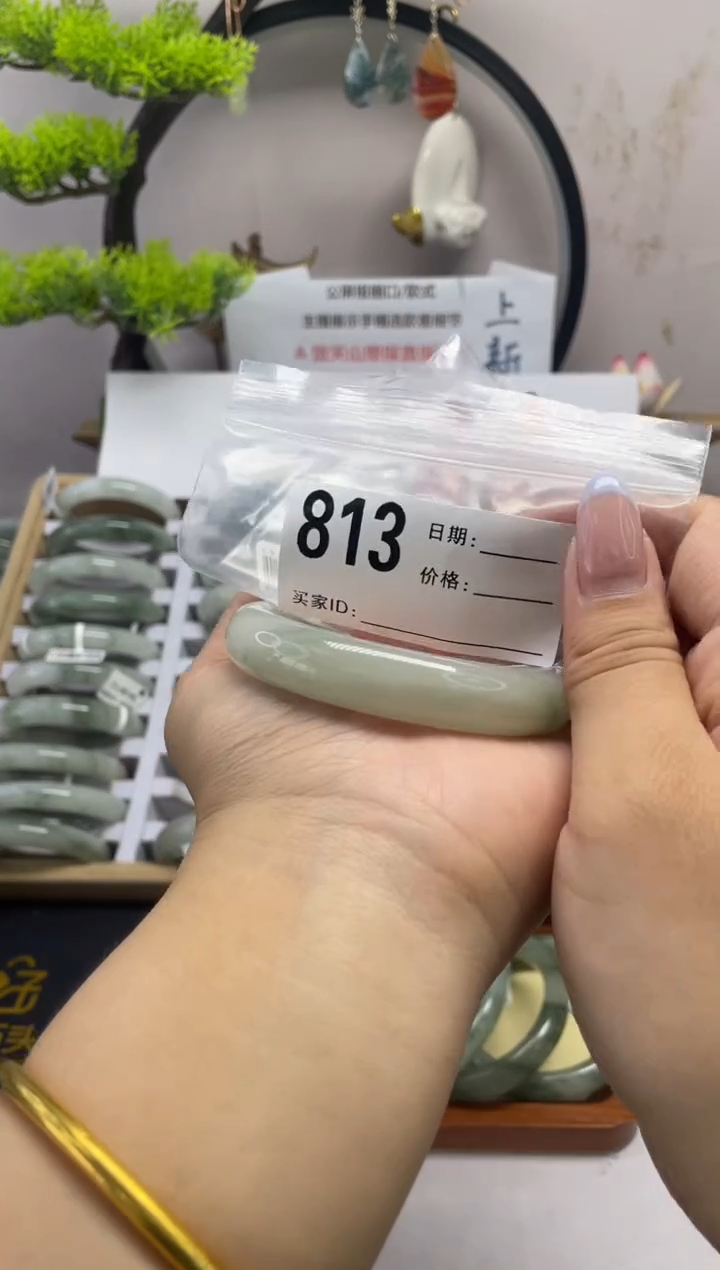 石英质玉（天山翠）手镯未镶嵌813