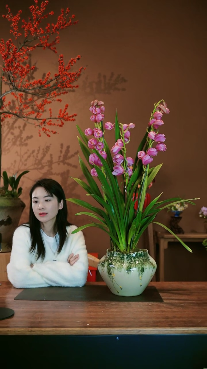 【闪购商品】盆景粉小吉