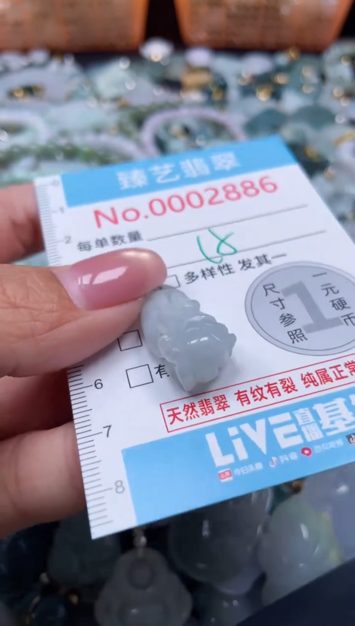 颈饰未镶嵌翡翠2886