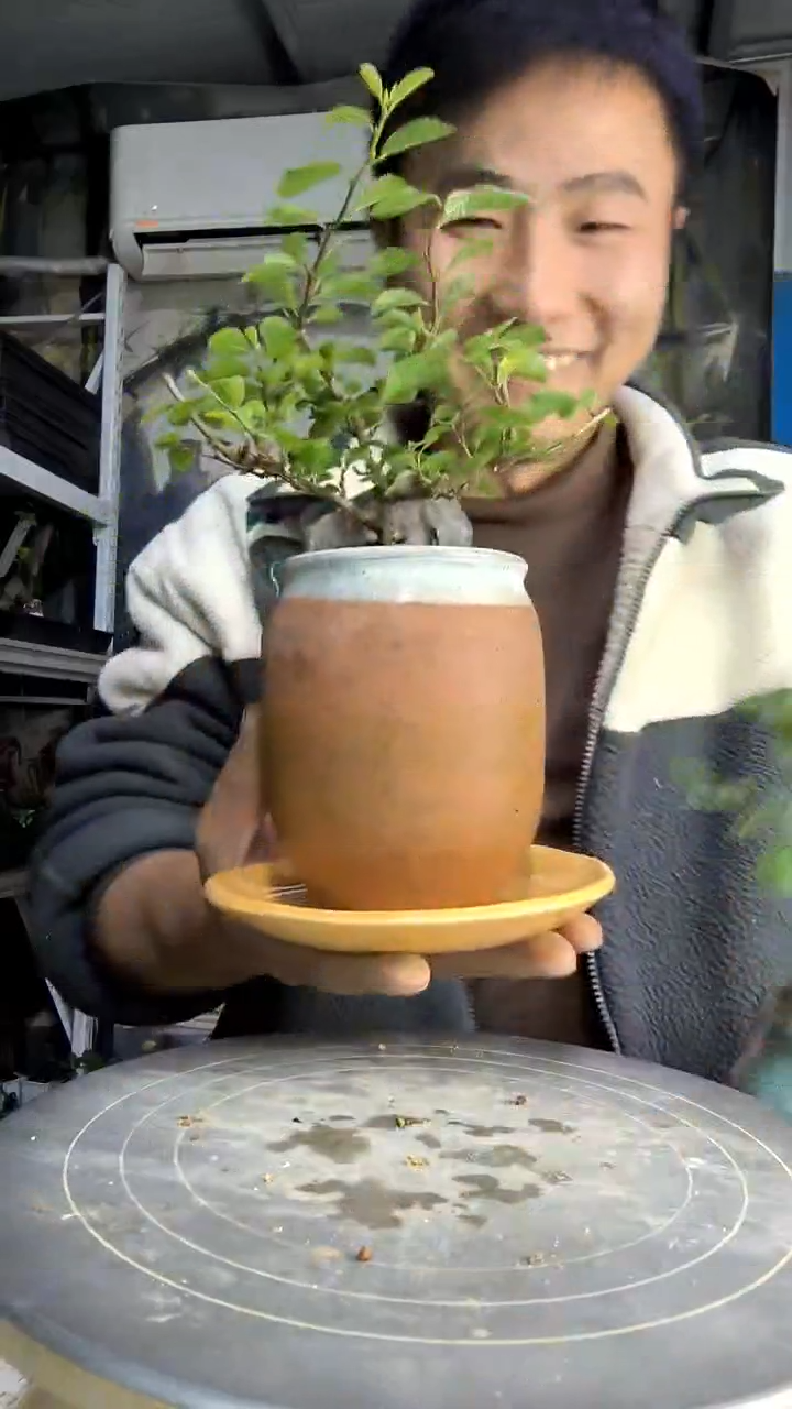 阿*中青园艺一物一拍426