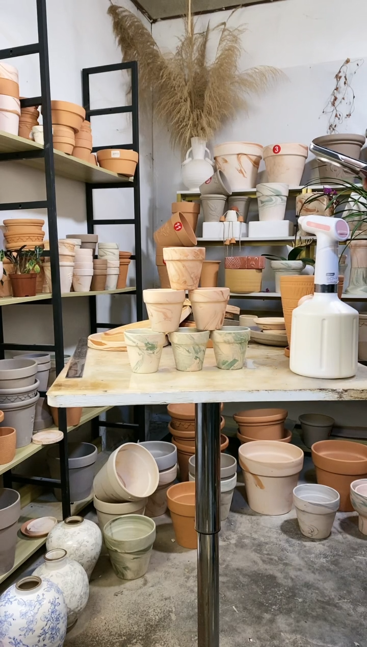 【闪购商品】陶8*8绿白+玛奇朵组合 6盆无托