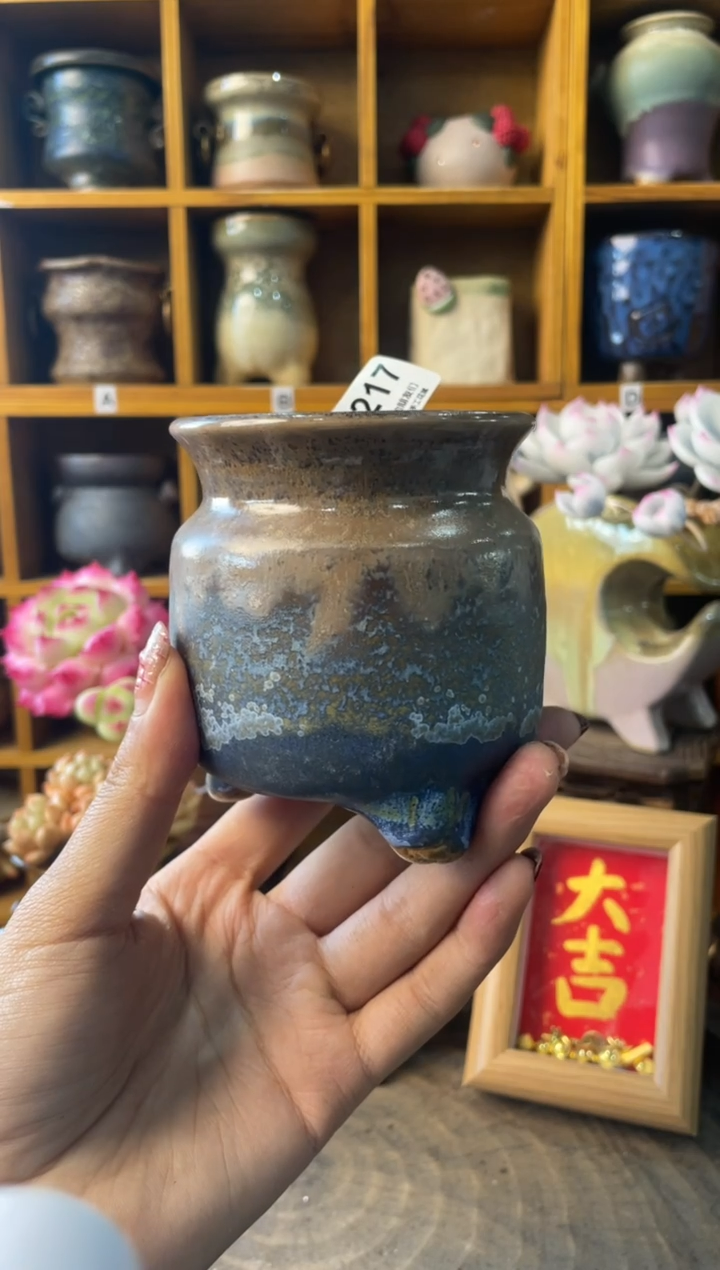 217内口7【多肉花盆多肉盆】