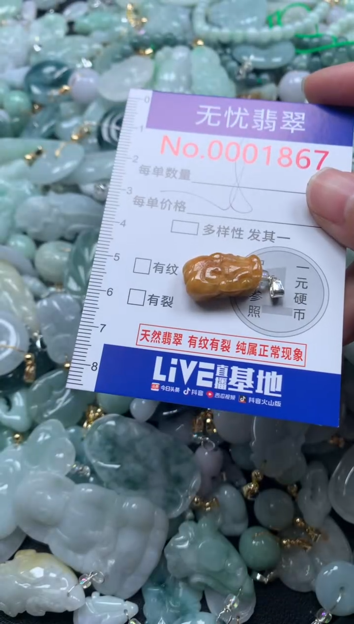 颈饰未镶嵌翡翠1867