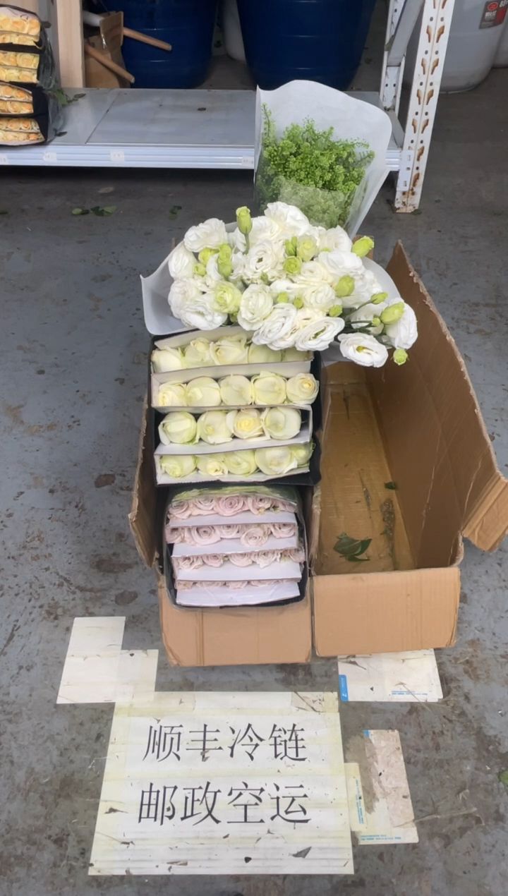 曼塔20枝+白雪山20枝+白桔梗800克+绿林草 