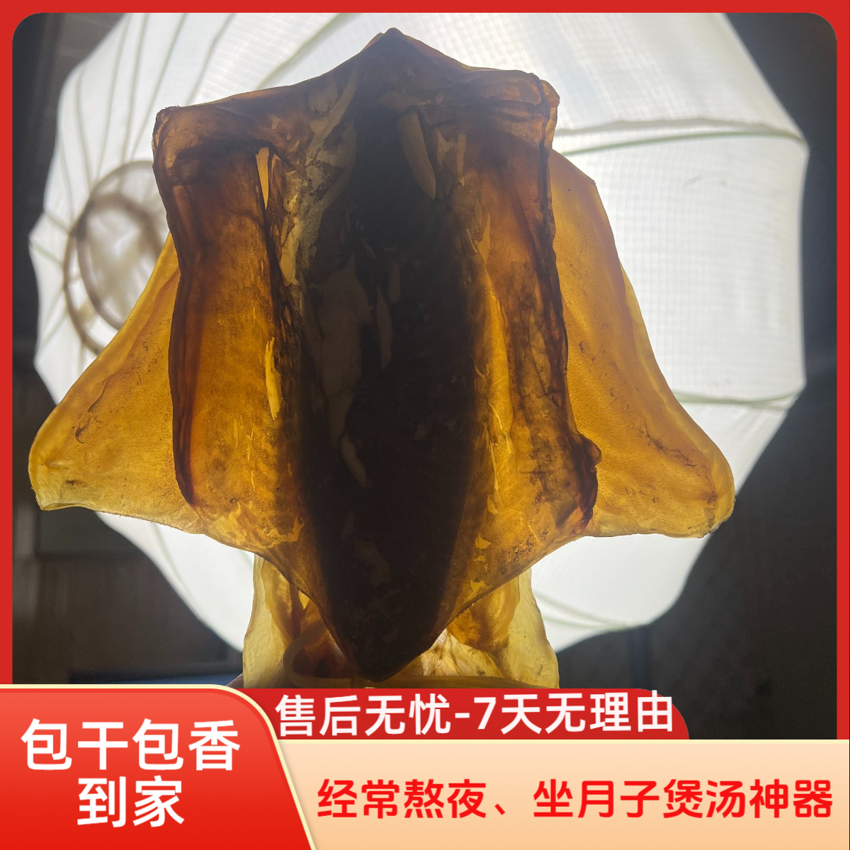 【直播间散称链接】小号墨鱼干干墨鱼十成淡干