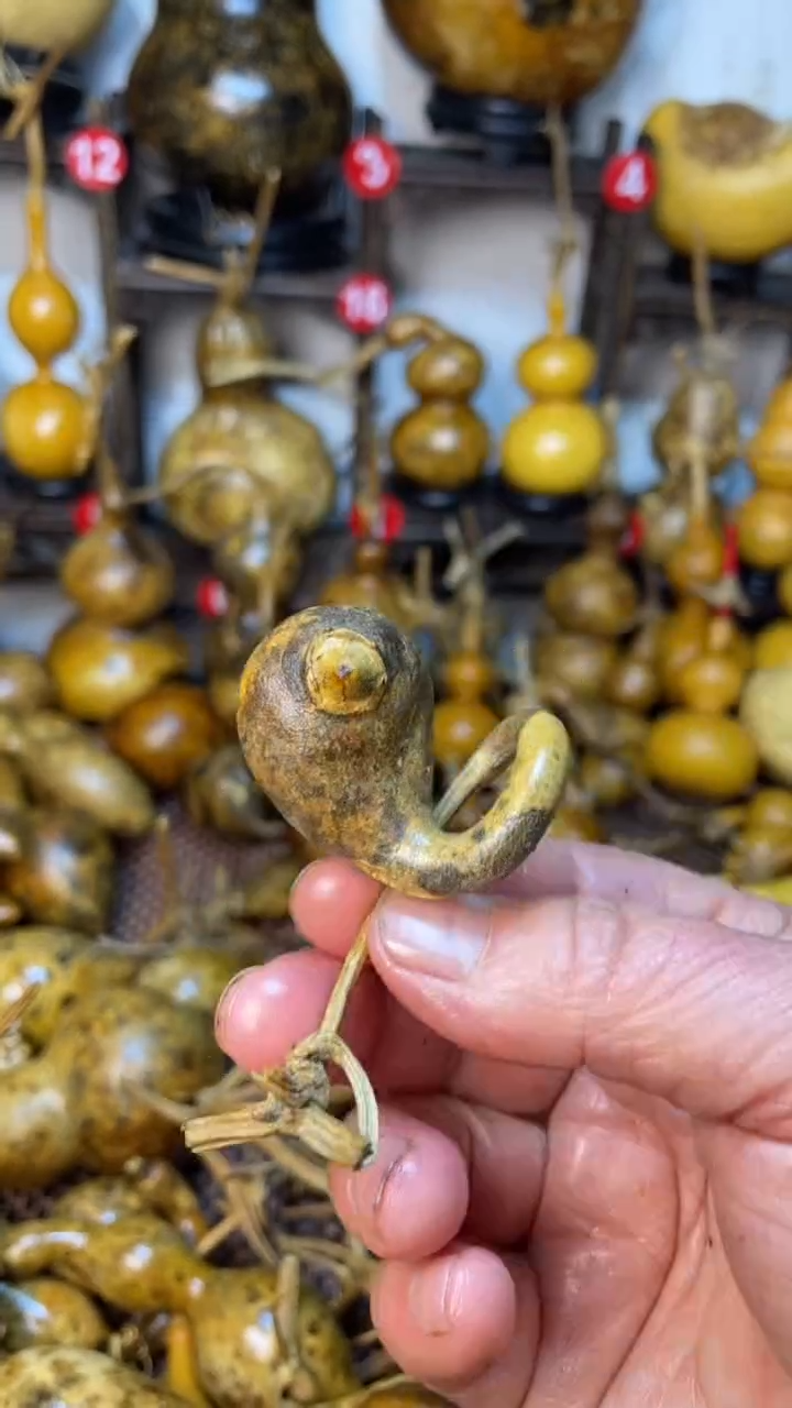 【闪购商品】葫芦葫芦葫芦葫芦葫芦