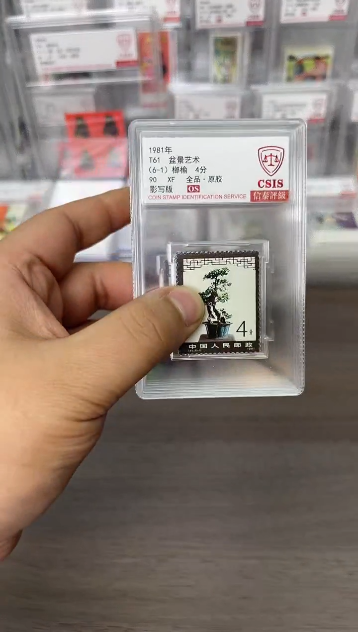 沉**光T61 盆景艺术 90OS