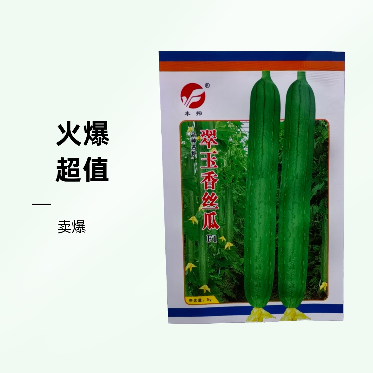 翠玉香丝瓜种子中等长度45厘米左右肉厚水瓜种春夏秋播种