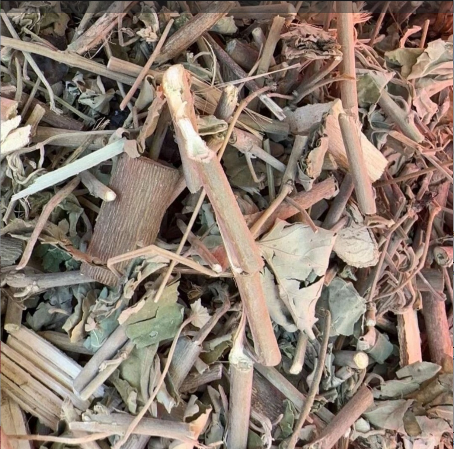 云南山货现收清～飞土特产菇