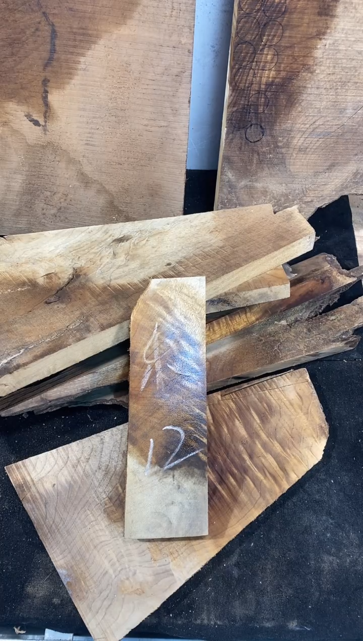 禾*金丝楠小叶桢楠1